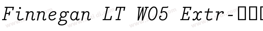 Finnegan LT W05 Extr字体转换